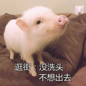 32e623ff3ff54ee5b70fe39d30389b02.gif