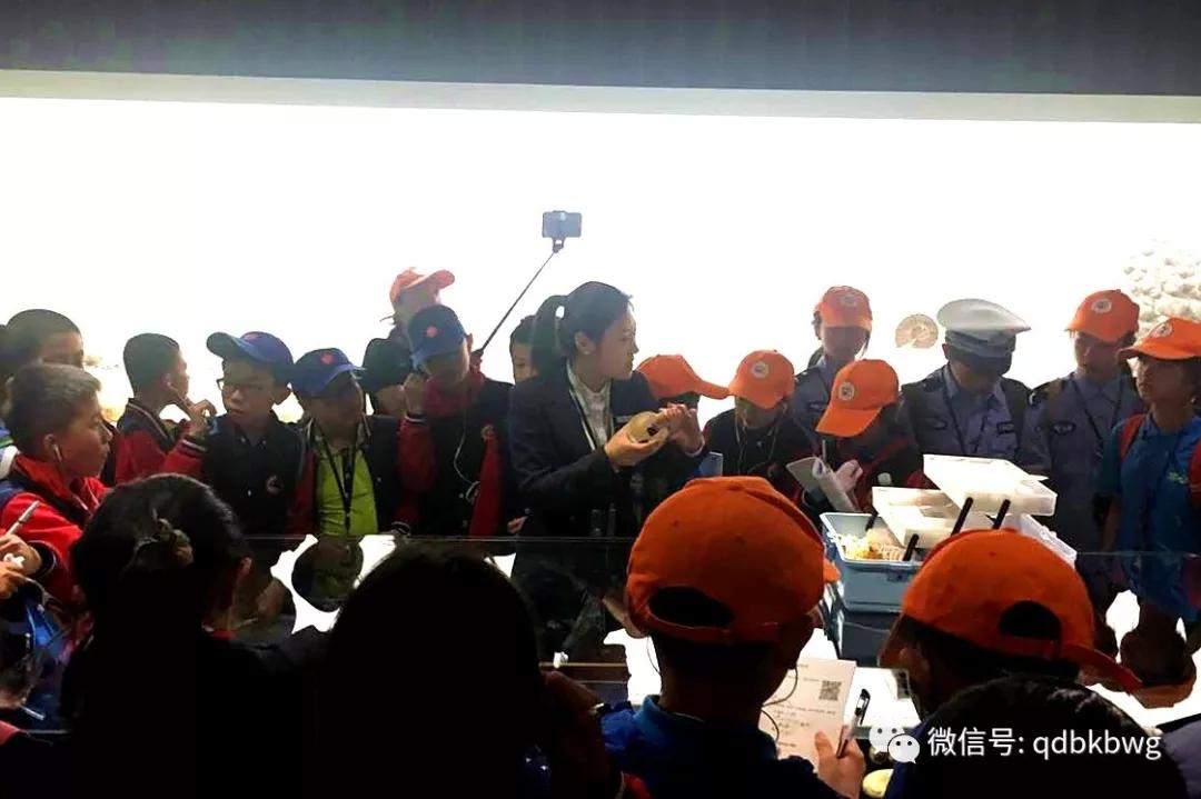 也是著名的"食人贝".