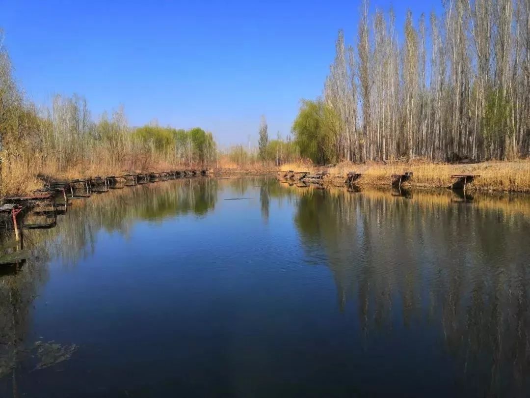 金河谷旅游休闲度假村(新改名为枫林苑)地址:伊犁河南岸阿顿巴村金