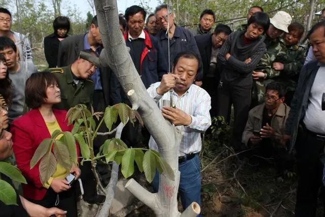 点击视频听李保国教授的故事(来源:燕赵都市报)返回搜狐,查看