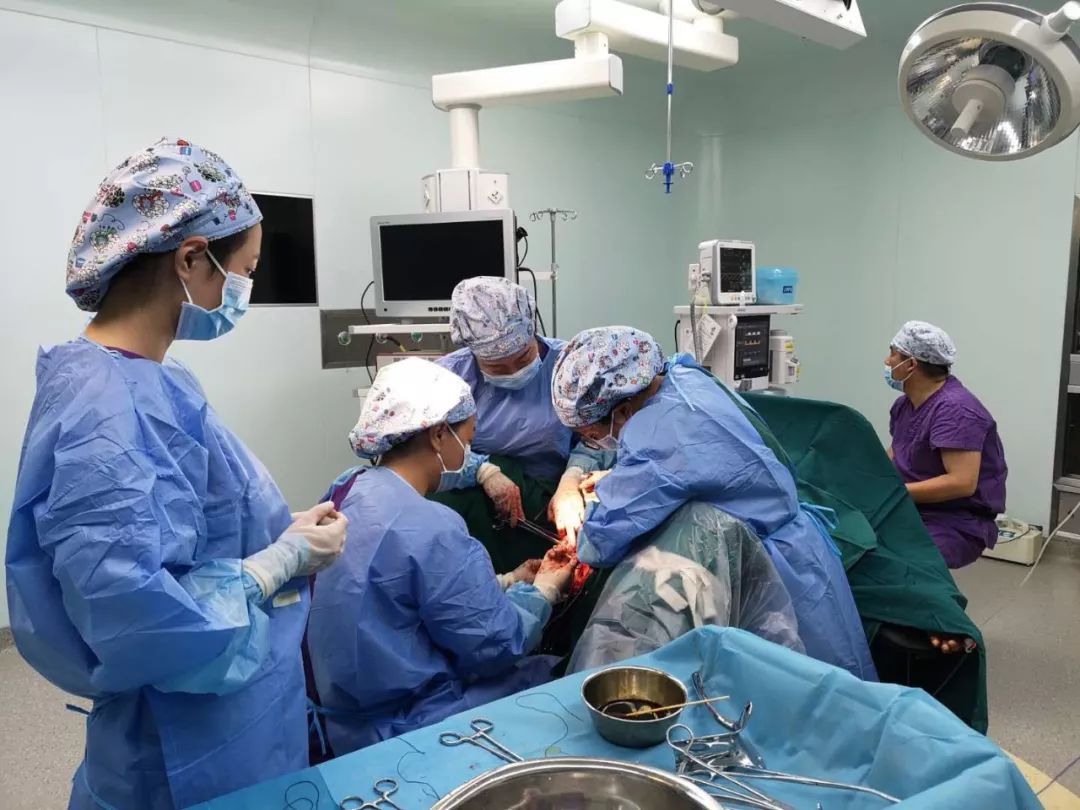 青岛市第八人民医院：特色诊疗 | 无痛可视人工流产 - 青岛新闻网