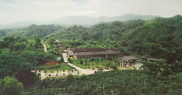 黑石村人口_宁阳县葛石镇黑石村(3)
