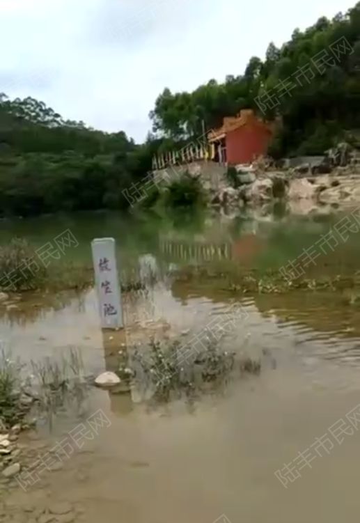 【突发】陆丰龙潭水库附近水域疑似发生溺水事件
