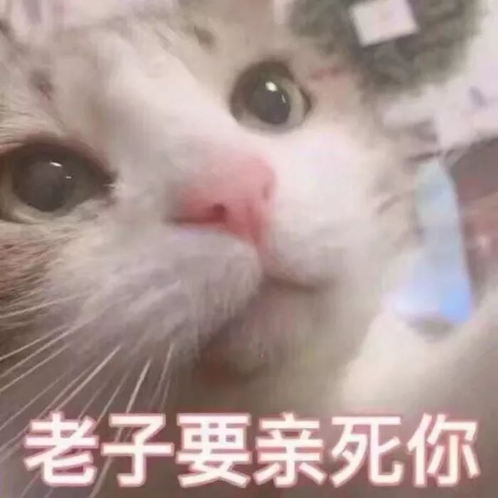 51b6d3e09a8a48958adfbb8d457724fd.jpeg