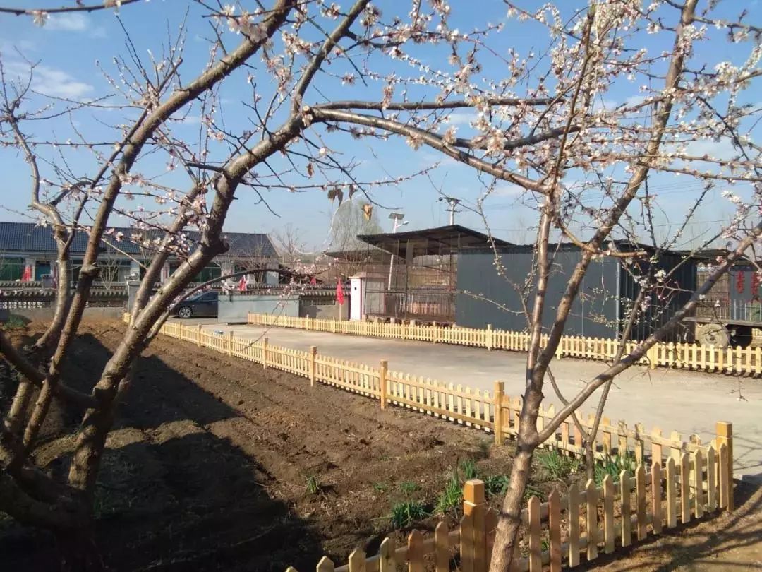 曙光镇:微景观让美丽乡村建设更有"内涵"
