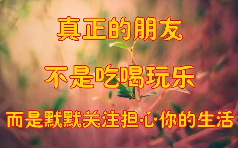 早上好,一首《一生的朋友》,送给一生相伴的朋友,愿你