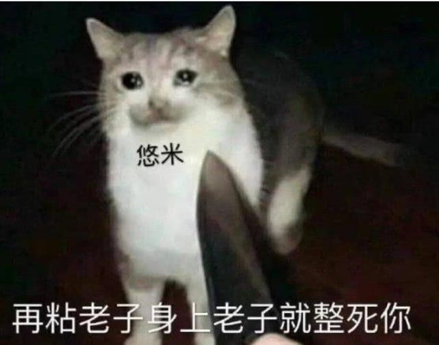 7143abcec6a541cf92b095ae02976c86.jpeg