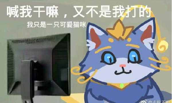 lol一周数据榜风男和小姐姐最爱的猫咪悠米荣登第一