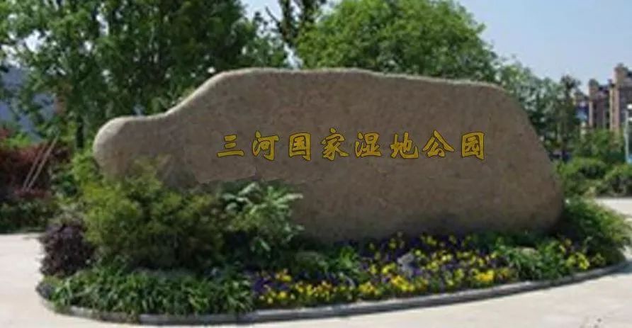 5亿!合肥最大湿地公园开建!位置就在…_三河