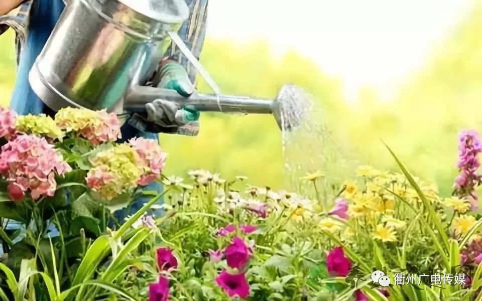 用什么方法可以不让草生长 96e091d5c0474635b80f36cd5eaae64f.jpeg