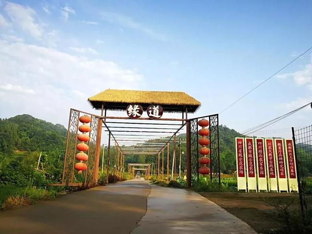 "遛娃"好去处,崇州农场带你轻松过六一_玫瑰庄园