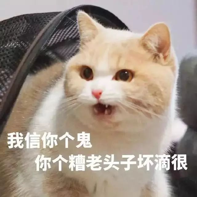 表情包:确认过眼神,是惹不起的人