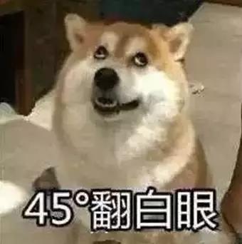 9fce4bae806046df9c6871d894023b06.JPG