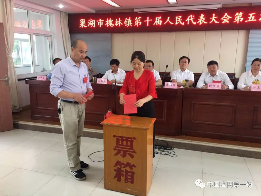 同意陈明志辞去槐林镇人民政府镇长职务, 提名选举李安洲为槐林镇