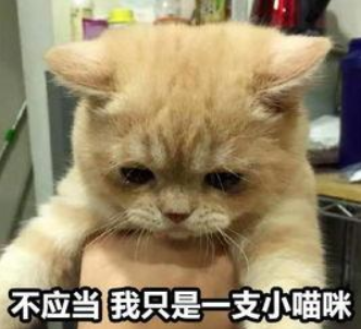 aaa701b33ce74da6b20205e5155a8635.png