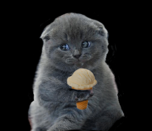 图自:网络 没错,就是超喜欢冰冰凉口感的小猫咪本咪了!