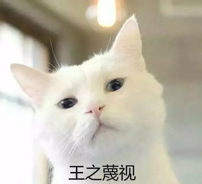 乒乓疯狂猜成语是什么成语_乒乓成语疯狂猜成语与图片(3)