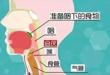 咽喉部出现这些情况需要我们引起重视了!