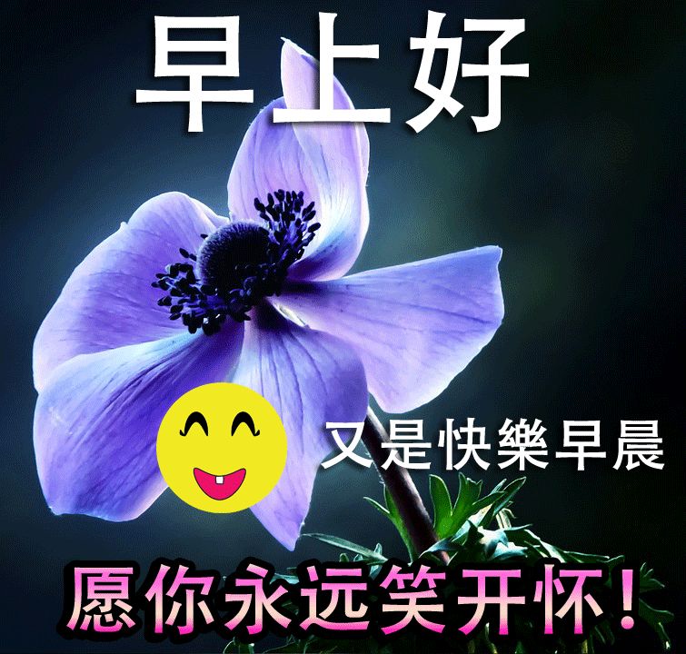 新的一天早上好问候语和关心话 早上好祝福图片动态表情大全