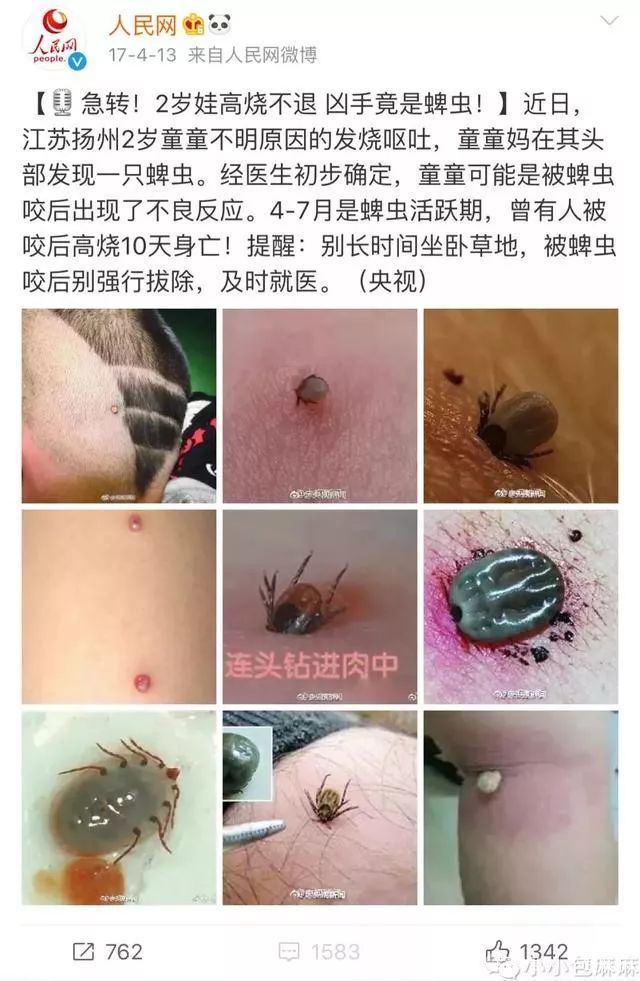                     1月之内3人身亡，宝宝身上出现这种“小黑痣”别大意！