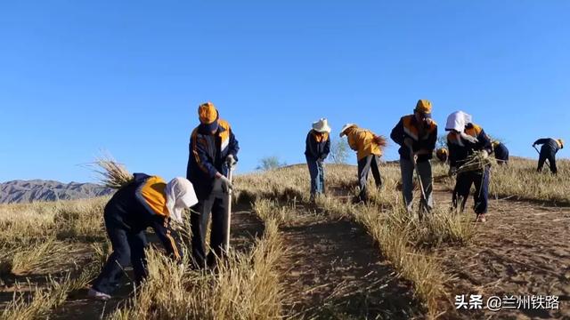 铁路"塞罕坝—用麦草方格"扎"出的绿色勋章