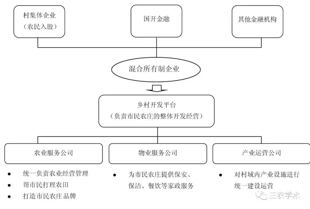 工商资本参与乡村振兴的利益联结机制