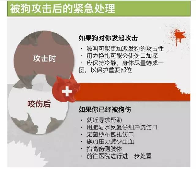 人口数量居世界第二_为什么领土面积居世界第二位的加拿大,总人口却只有37