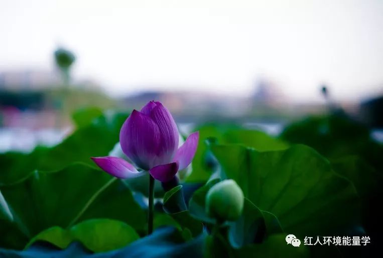 人这一辈子,无非是个过程!