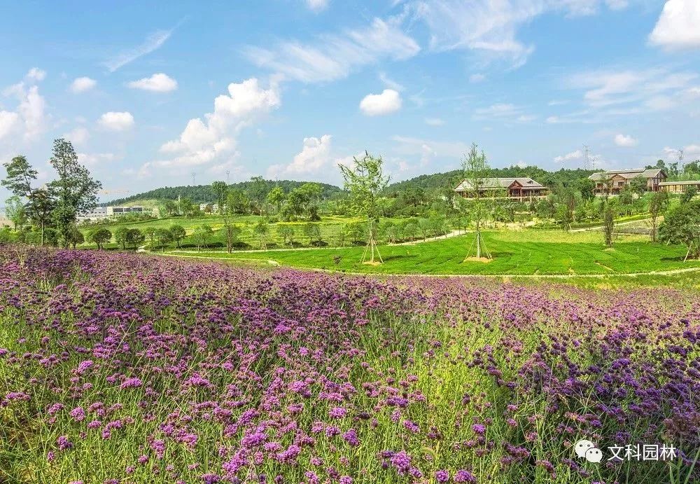 遵义百草园打造中药养生休闲旅游新典范