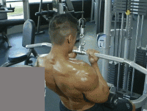 eb29b8bf174c41c4b1aad6756ea7c5d1.gif