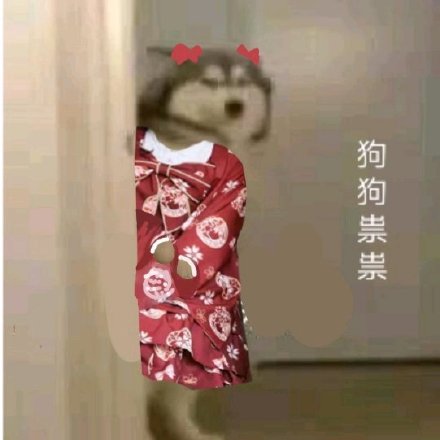 狗狗祟祟换装表情包
