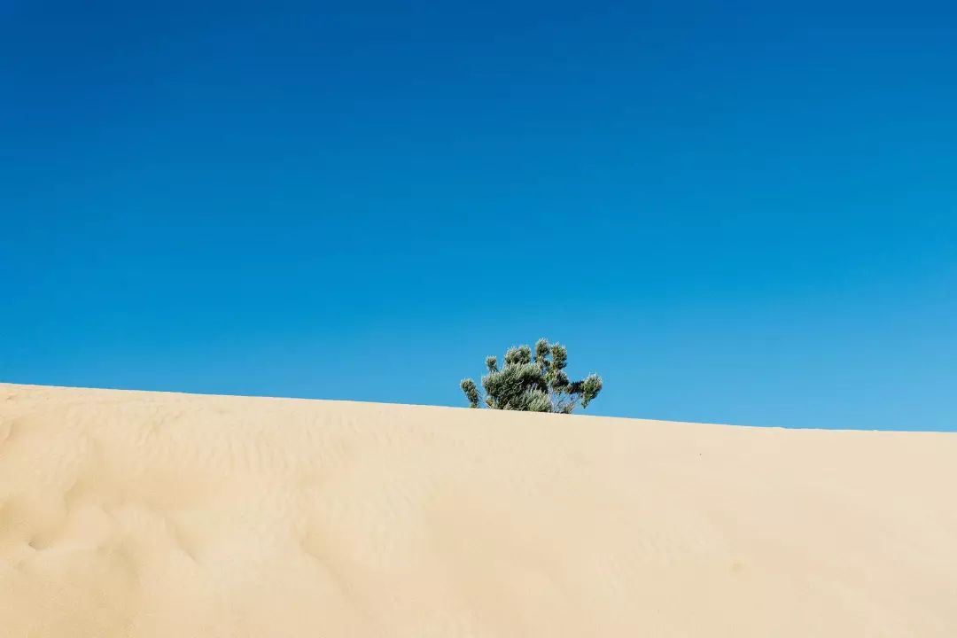 photo|johannes plenio 留白构图是画面中只有主体,剩下的部分大面积