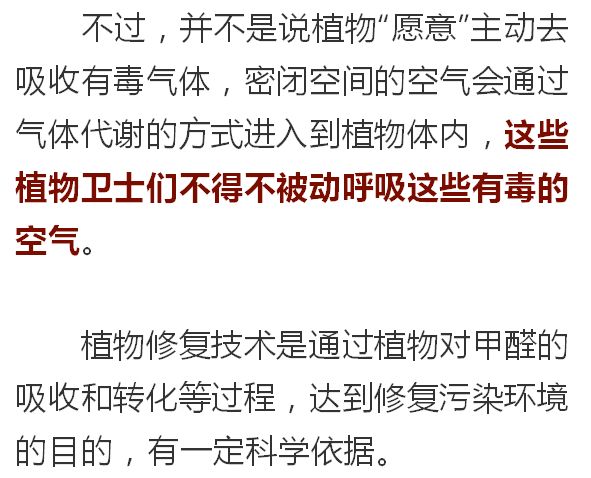 吸甲醛排名_除甲醛排名第一的植物(2)