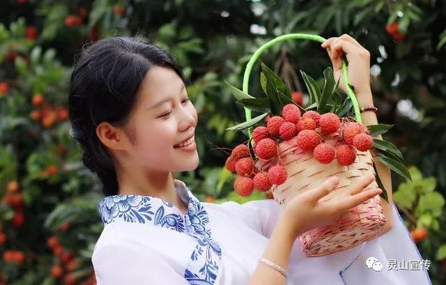 【2019灵山荔枝节】6月16日!