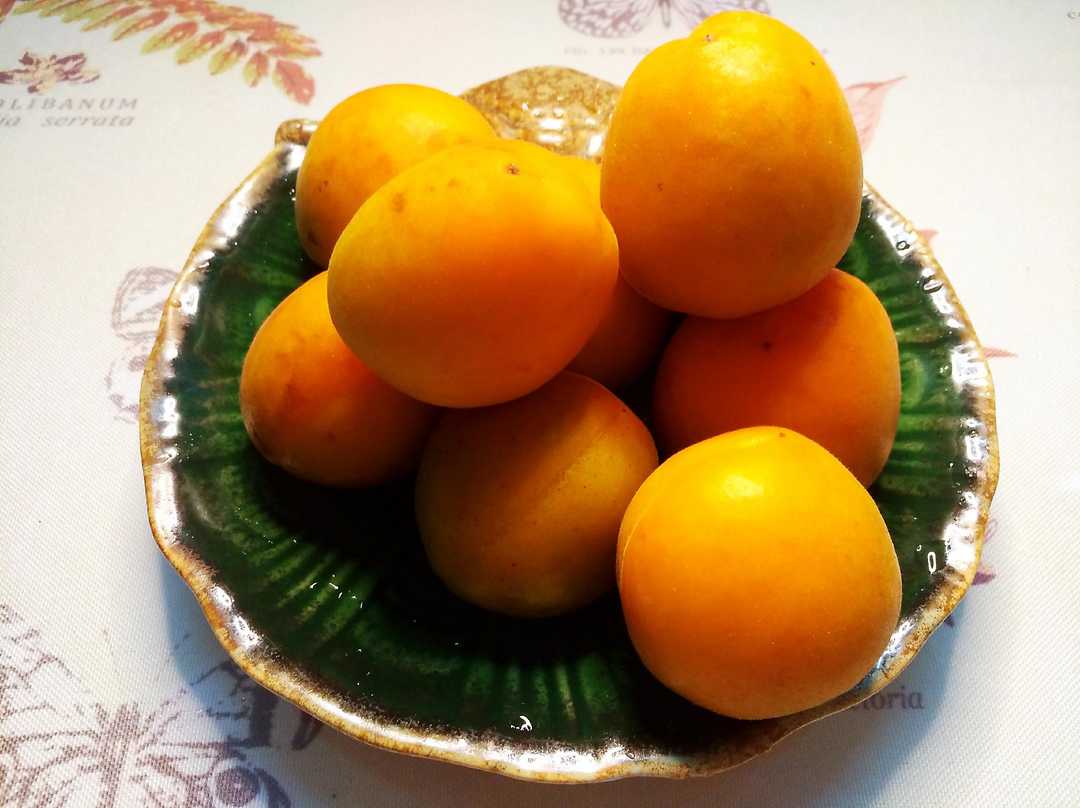 杏很酸怎么做好吃这么吃再不会有酸杏了