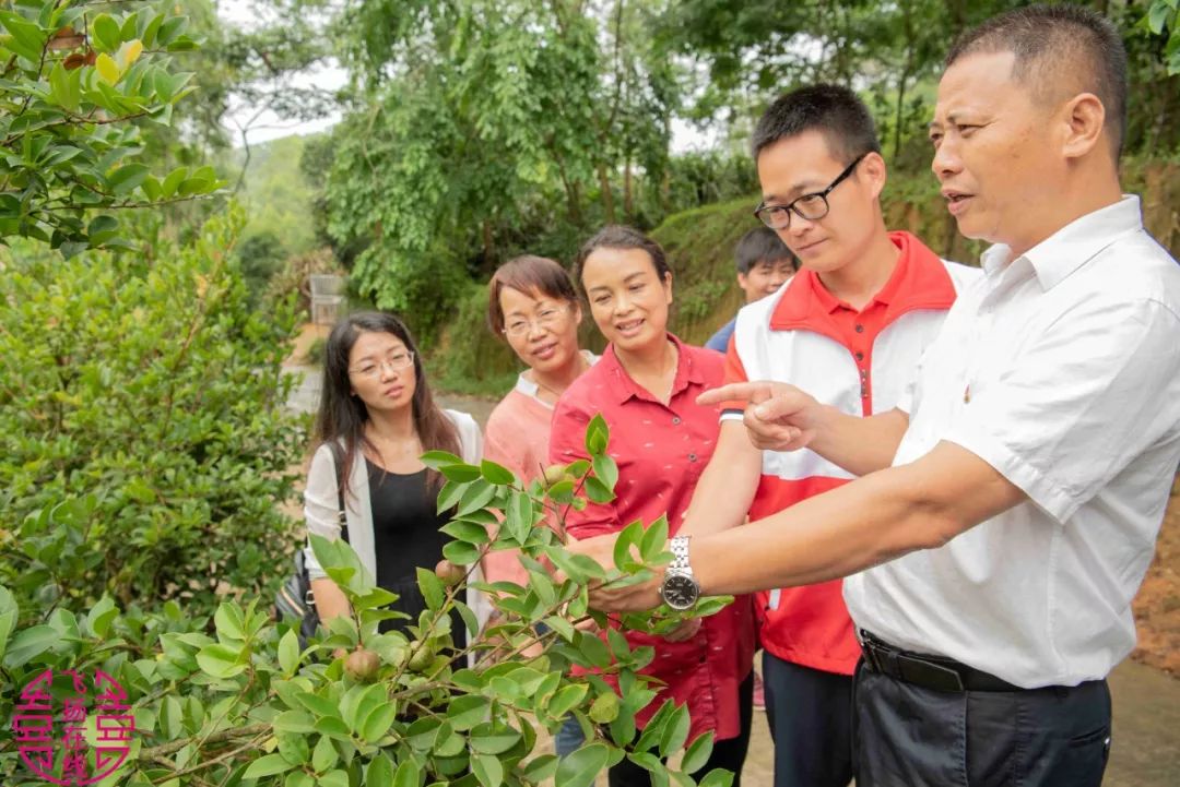 博白这个人带领着一村人来干这事,一干就是几十年!