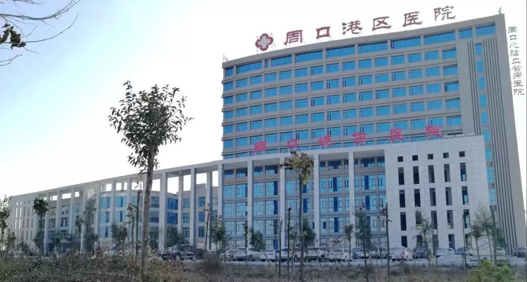 周口市各县人口有多少