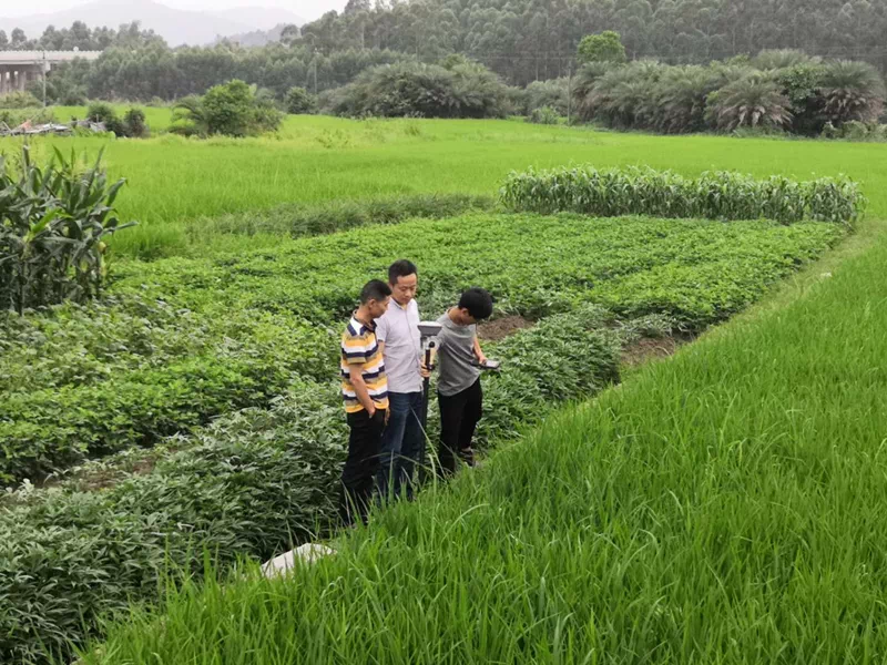 土黄镇有多少人口_土黄镇王明江