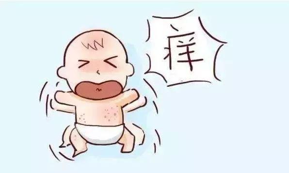 在接种疫苗后无其他原因而出现的皮疹当中,以荨麻疹最为多见,一般在