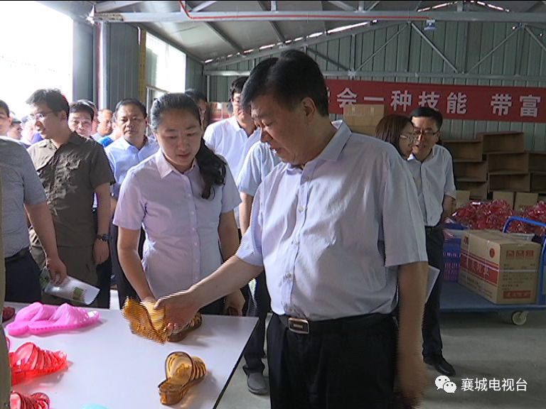 刘庄美足鞋厂扶贫基地,盛寨村许昌金慧农业开发有限公司金银花种植