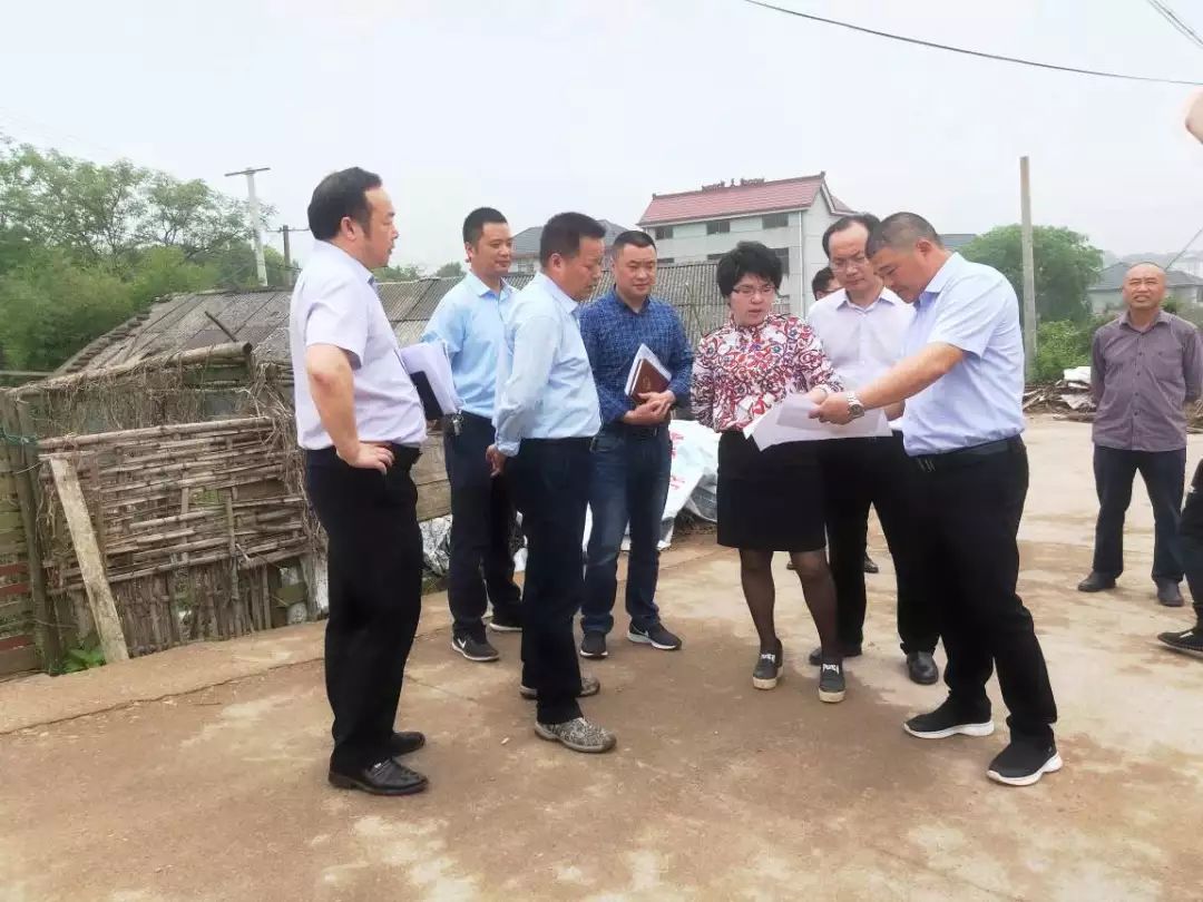 前期踏勘杭衢高铁建设项目涉及我乡希望新村,西垅村,清源村,章戴街村