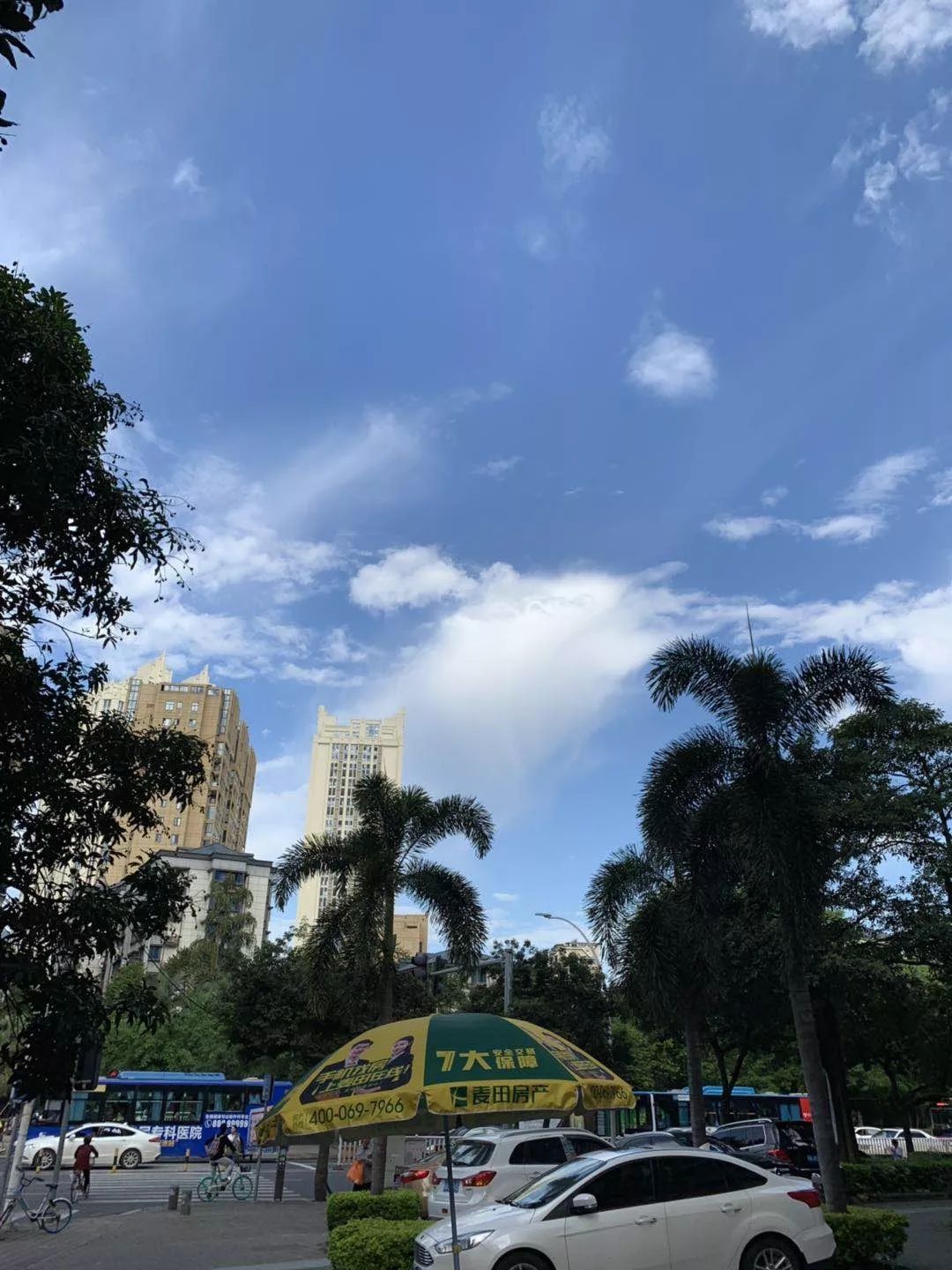 今天,在这个阴雨暂停的日子 迎来让人心情大好的"福州蓝" 你有没有拍