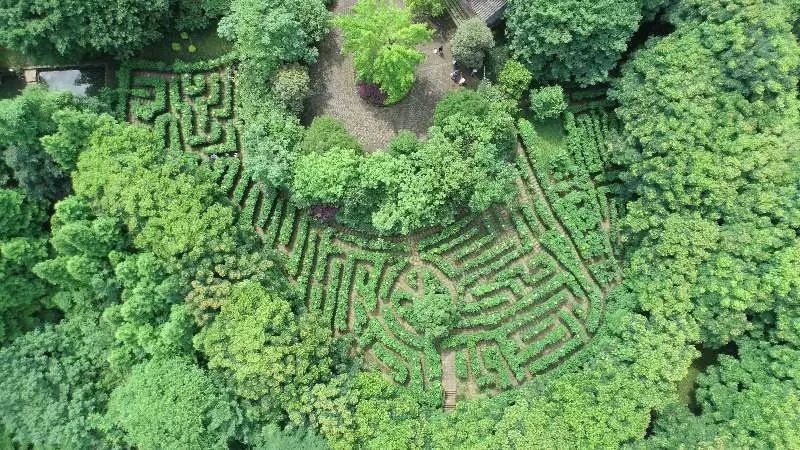大足南山公园植物迷宫开放为市民提供休闲娱乐新选择