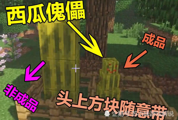 310dd2cf87974a5cb91c871b6b319b65.jpeg