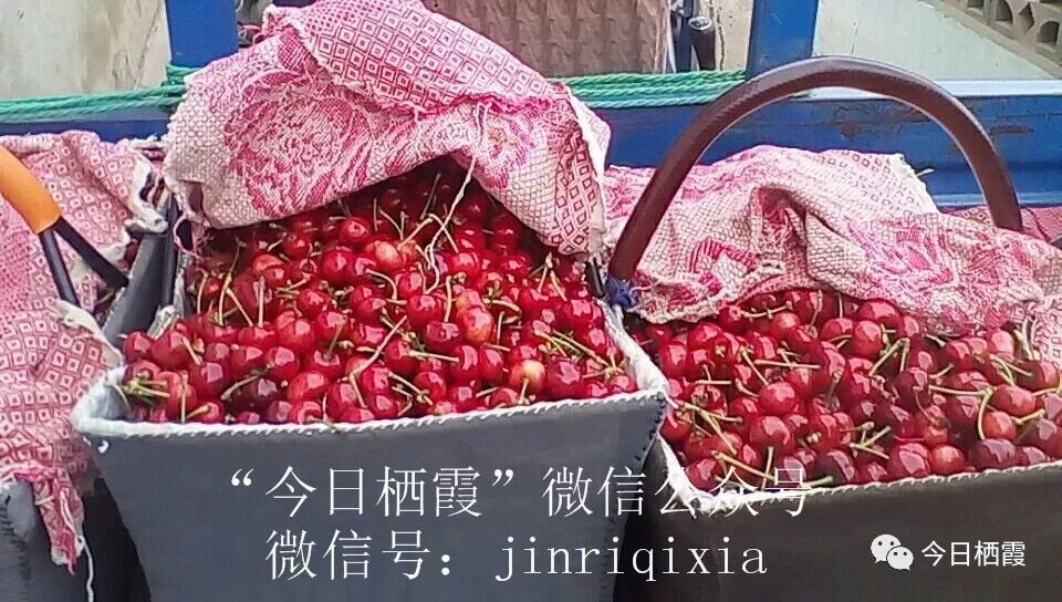 如何挑选大樱桃最好 3d98bab132304eec8548b92a2b81fa9c.jpeg