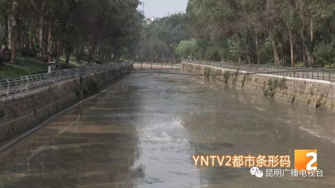 真相是这样→盘龙江水浑浊原因基本确定!_泥浆
