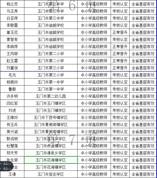 2019年玉门常住人口_人口普查(2)