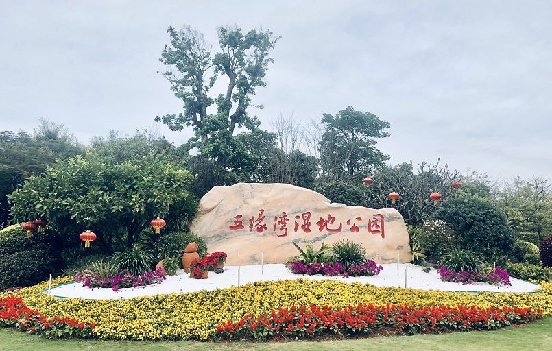 厦门户均人口_厦门人口分布密度图