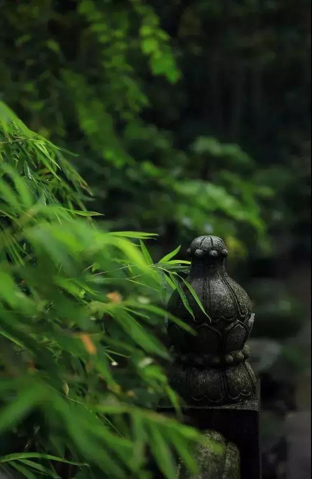 秋雨夜眠