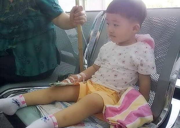                     医院儿科挂号难？医生忠告：家里4种食物吃一点，越吃脾胃越健康